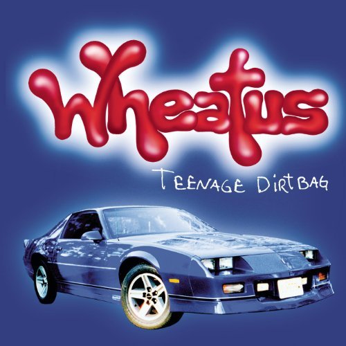 Du hast in dem Alexa Spiel „Was singt Dave“ den Song „Teenage Dirtbag“ von „Wheatus“ gehört.